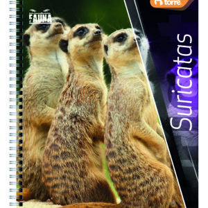 Cuaderno universitario Torre 100 hjs.Lito/Fauna/Ciudad