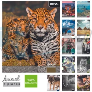 Cuaderno universitario Ross 100 hjs. Animal Place